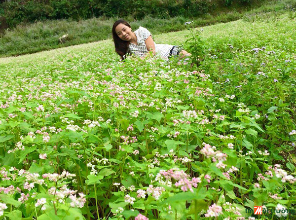 Thời[-]tiết[-]ngày[-]26[-]tháng[-]11:[-]Vùng[-]núi[-]phía[-]Bắc[-]có[-]rét[-]đậm,[-]Bắc[-]Trung[-]Bộ[-]đề[-]phòng[-]tố[-]lốc[-]và[-]gió[-]giật